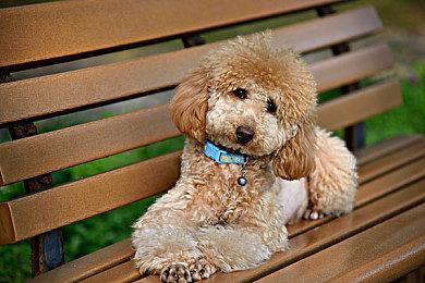 Xbox发布会：《星空》首曝15分钟演示 首发进Xbox Game Pass